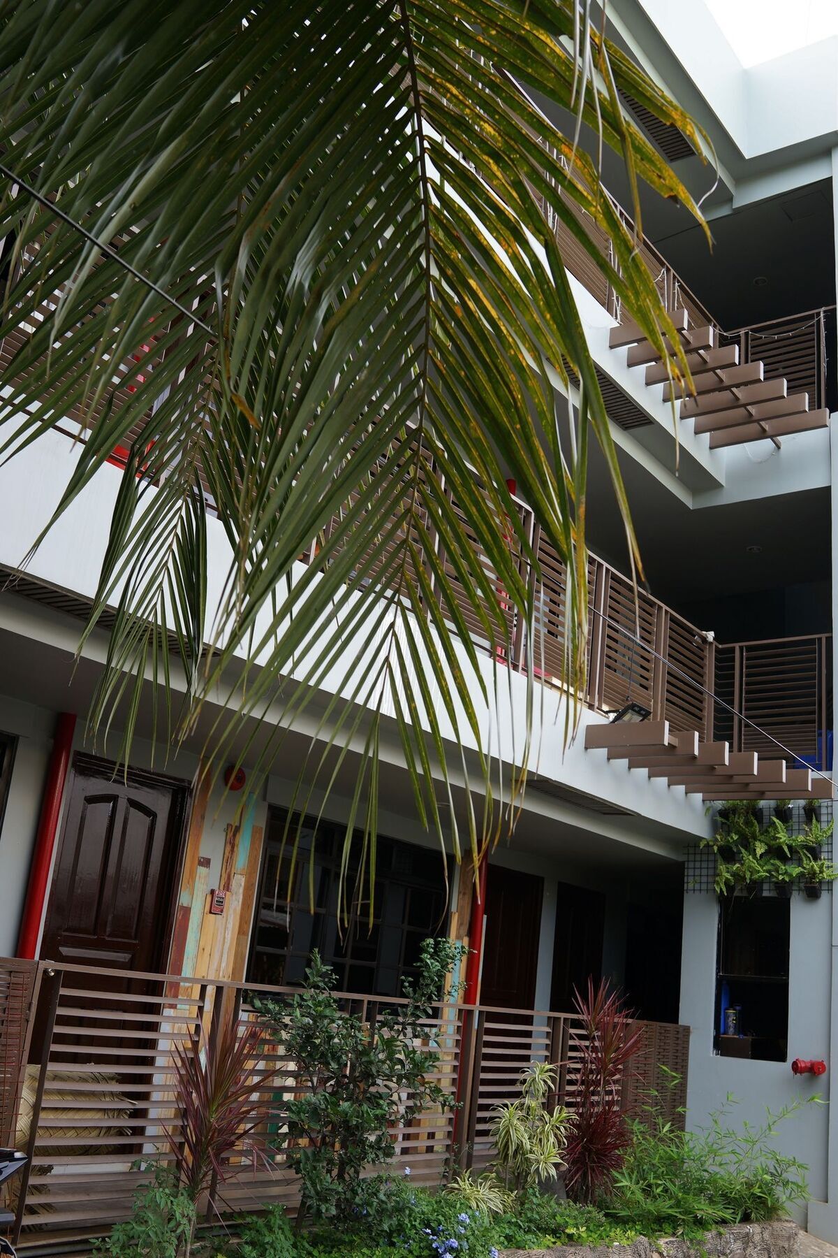 Starry Night Pension - Hostel Puerto Princesa Екстер'єр фото